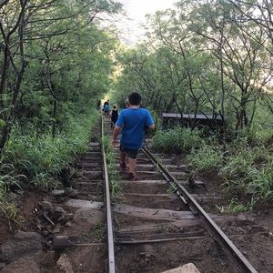 Meet your Posher, Kale